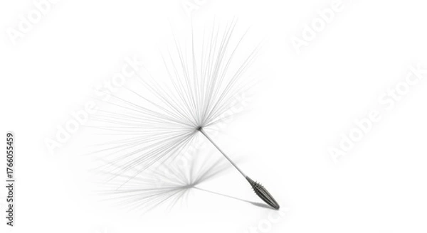 Fototapeta Dandelion seed parachute floating isolated on transparent background