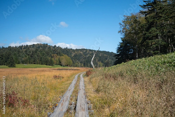 Obraz 草紅葉の尾瀬ヶ原