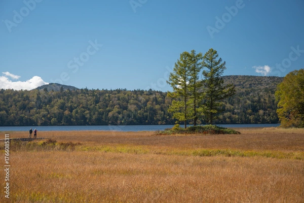 Obraz 草紅葉の尾瀬ヶ原