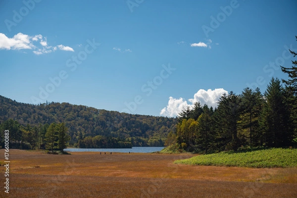 Obraz 草紅葉の尾瀬ヶ原