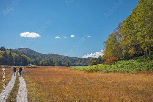 Obraz 草紅葉の尾瀬ヶ原