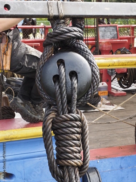 Fototapeta OLYMPUS DIGITAL CAMERA