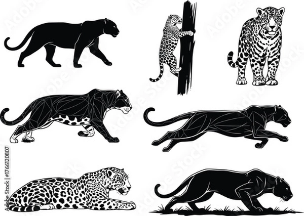 Fototapeta WebLeopard and panther illustrations in dynamic poses – silhouette, stalking, running, climbing, lying, cub, upright, spotted styles