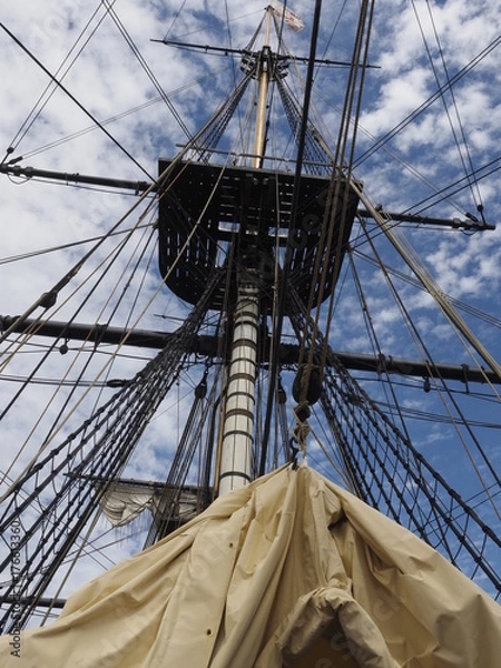 Fototapeta OLYMPUS DIGITAL CAMERA