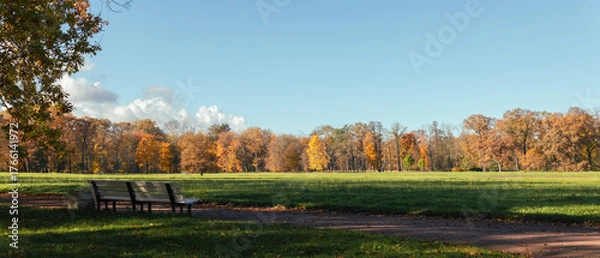 Fototapeta Peaceful autumn park scene with empty benches under the trees, a wide green meadow, and vibrant foliage in shades of yellow, orange, and red under a clear blue sky.