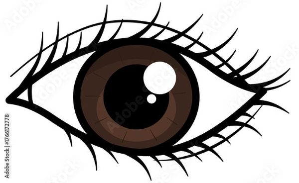 Fototapeta Brown eye illustration 