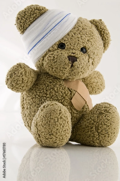 Obraz Wounded Teddy Bear