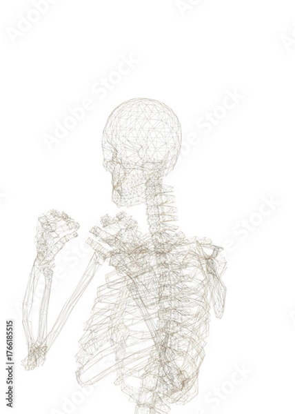 Fototapeta Human skeleton, 3D rendered, transparent background