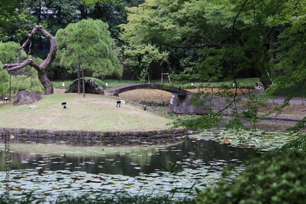 Obraz 小石川後楽園。水戸徳川家の上屋敷の回遊式築山泉水庭園。内庭の池と、そこにかかる石橋。