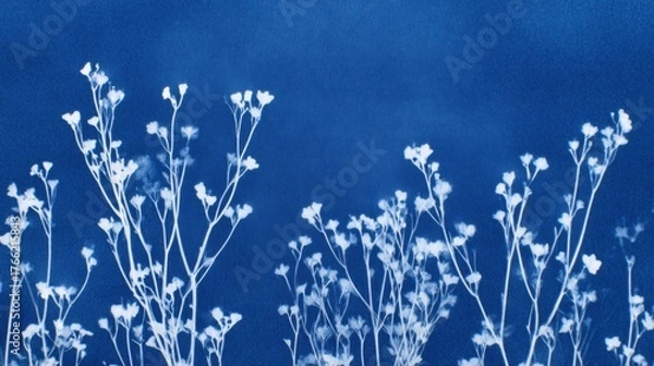 Obraz grass and blue sky