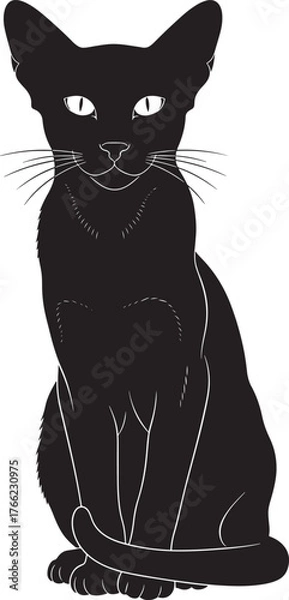 Obraz Elegant black cat silhouette majestic feline posed gracefully and alert with striking eyes and whiskers for design elements