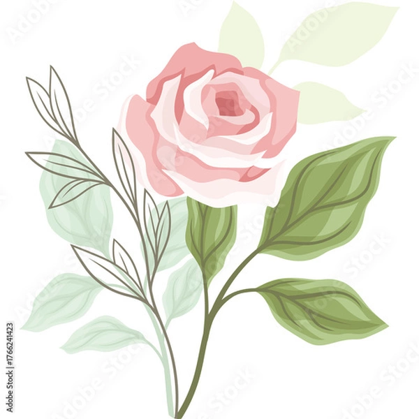 Obraz Elegant Pink Rose Blossom With Green Leaves And Delicate Outline Branches On Transparent Background