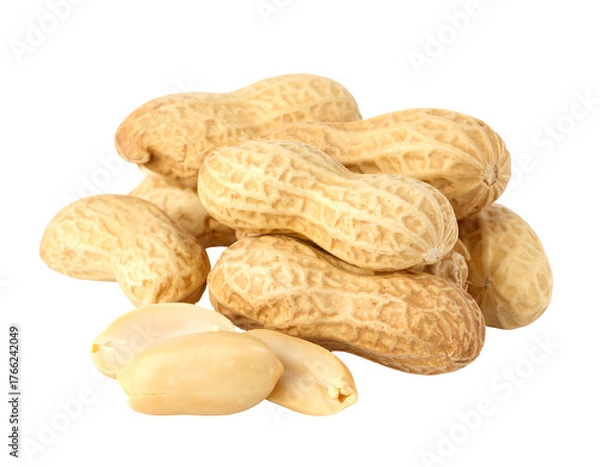 Fototapeta Pile of unroasted peanuts in shells, plus a few shelled, against a black background. Neutral warm lighting