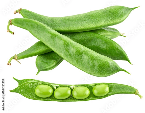 Fototapeta Pile of vibrant green beans and open bean pod with smooth, round beans shown against a black background