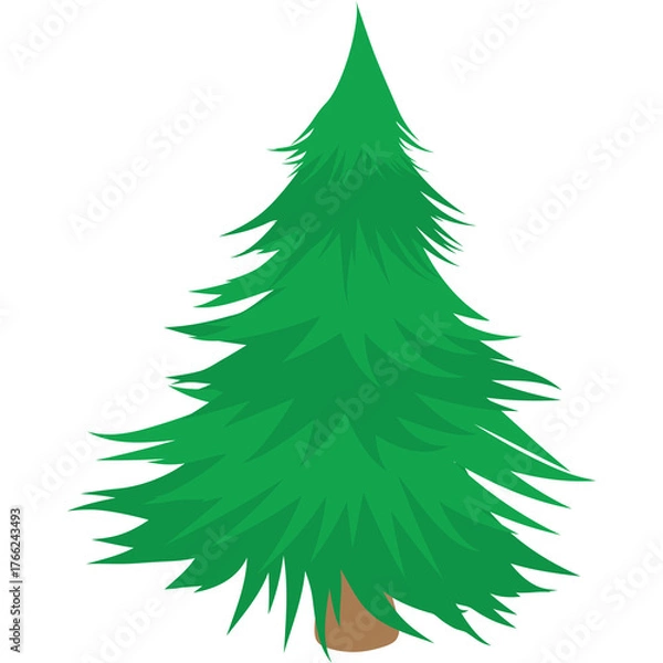 Fototapeta Evergreen Pine Tree With Dark Green Needles And Brown Trunk On Transparent Background In Full Sunlight