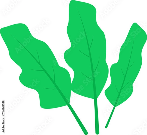 Obraz 녹색잎 채소