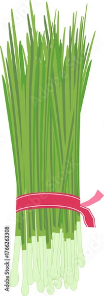 Obraz 쪽파 한 단