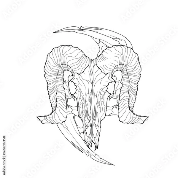 Obraz illustration skull and satan