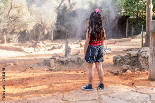 Fototapeta A young girl watches kangaroos in their enclosure at a wildlife park. The sun shines bright as dust rises around her feet, creating a lively scene of nature and animal interaction.