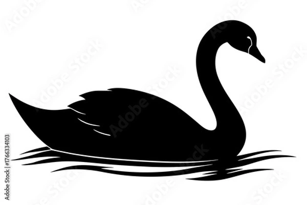 Fototapeta Elegant black swan silhouette gracefully gliding on water with stylized ripples isolated on white background