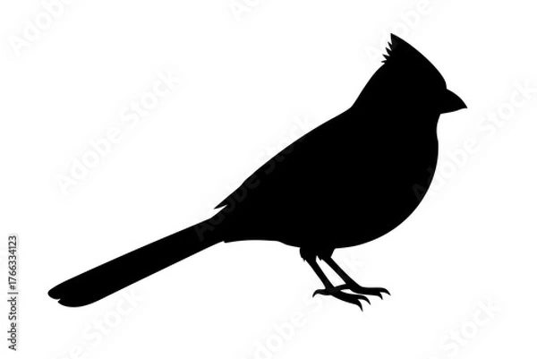 Fototapeta A detailed black silhouette of a cardinal bird with a prominent crest and long tail perched on its feet isolated on white background