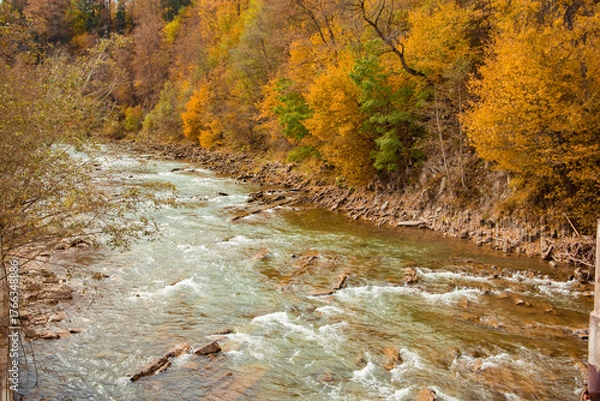 Obraz stream in autumn