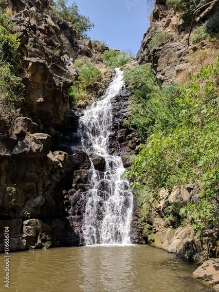 Obraz waterfall in forest