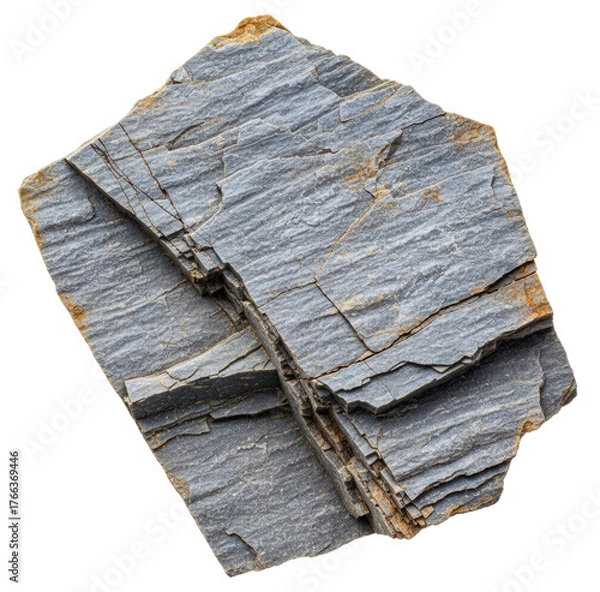 Fototapeta Gray slate metamorphic rock sample showing layers and texture isolated on a transparent background
