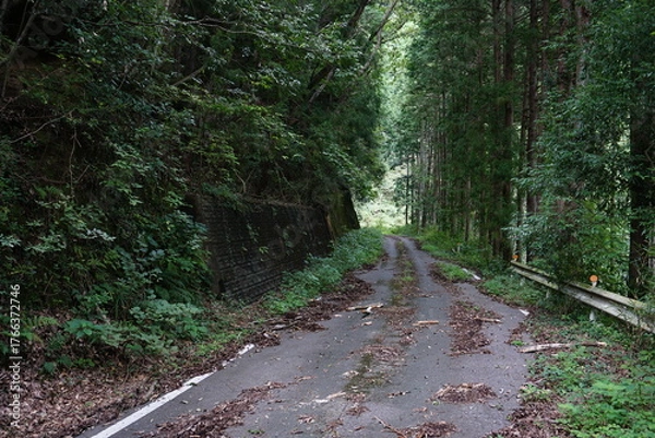 Obraz 栃木県の荒れた山道