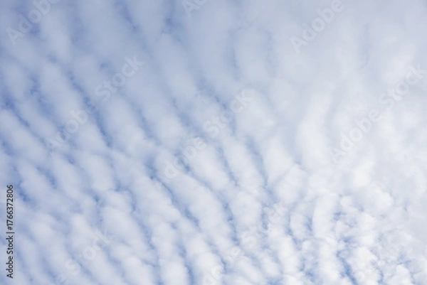 Obraz うろこ雲（巻積雲）