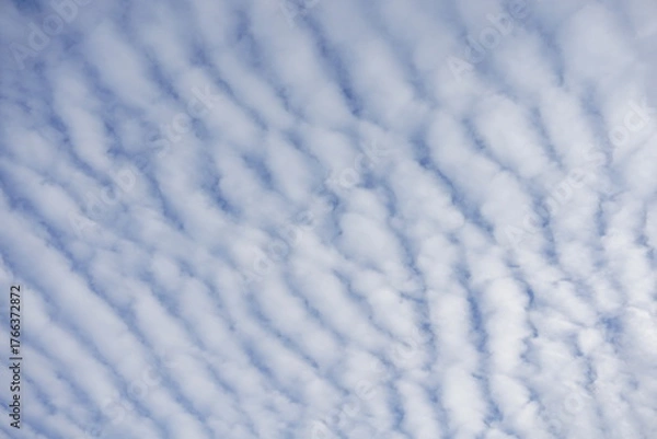 Obraz うろこ雲（巻積雲）