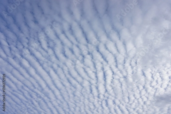 Obraz うろこ雲（巻積雲）