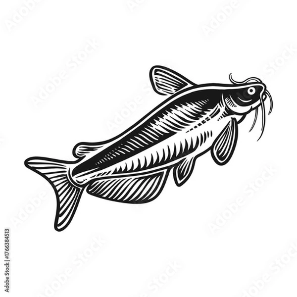 Obraz Catfish silhouette engraving vector hand drawn