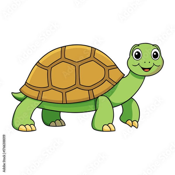 Obraz turtle