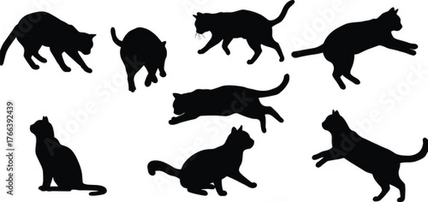 Obraz Black cat silhouette collection, playful and sitting feline poses, vector illustration of domestic cats, isolated pet design for decoration, artwork