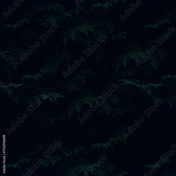 Obraz forest in the night