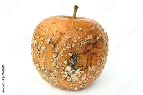 Obraz Verschimmelter Apfel