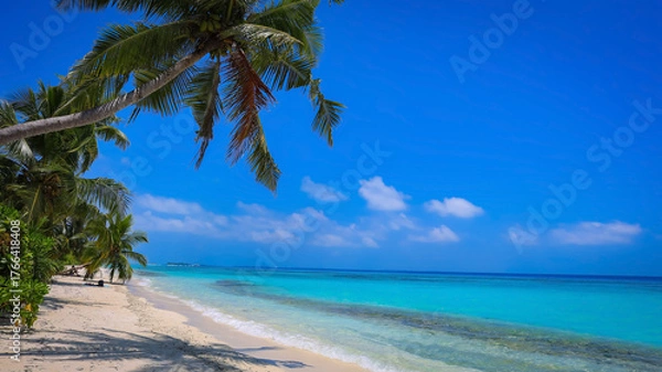 Obraz The tropical beach paradise and palm tree shadows over turquoise ocean idyllic maldives beach scene background