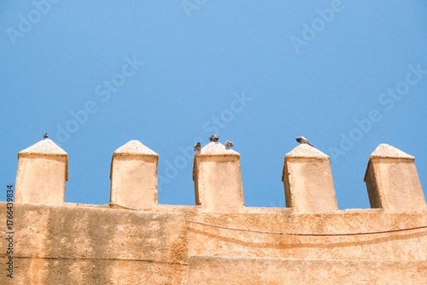Fototapeta Top of an ancient city wall in Fes, Morocco, with numerous perched birds creating a tranquil yet cinematic scene.