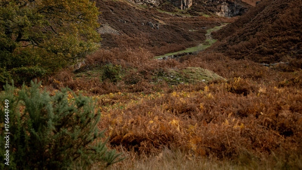 Obraz path in the mountain