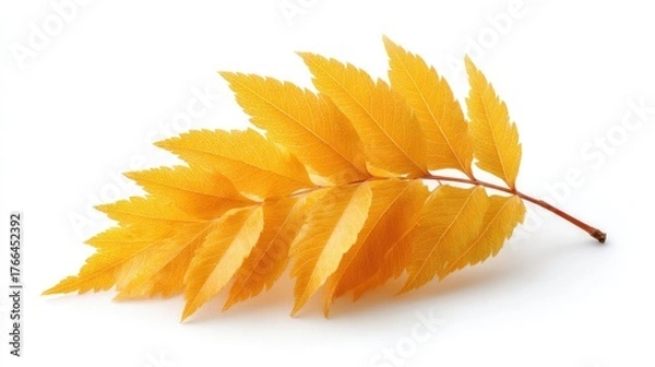 Fototapeta A Detailed Photo of a Bright Yellow Mango Leaf with Glitter Accents Isolated on a White Background