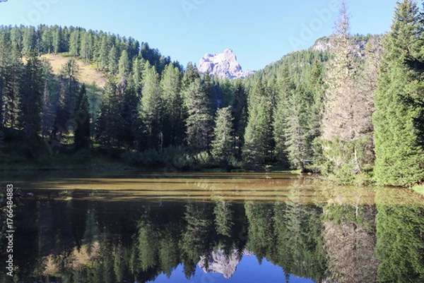 Fototapeta Reflection of trees in the lake - Lago Bai di Dones