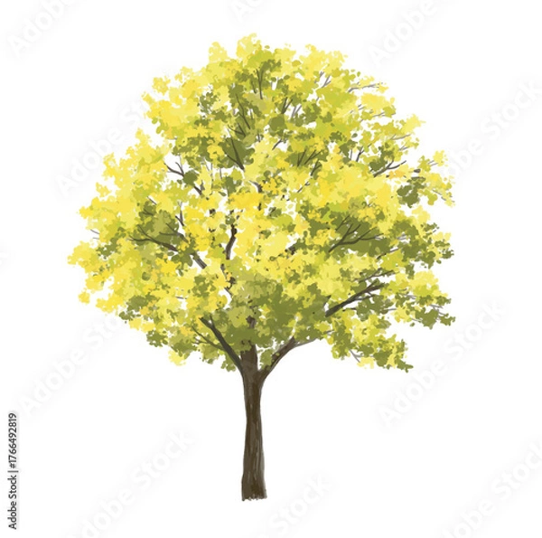 Fototapeta  Vector watercolor green  tree or forest side view isolated on white background for landscape and architecture drawing,elements for environment or and garden,Shrub for section