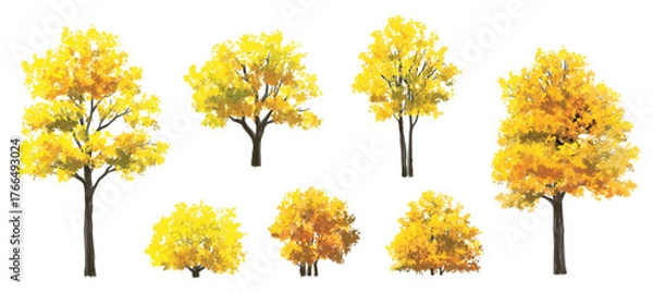 Fototapeta Vector watercolor illustration of a blooming flower tree or forest side view, ginkgo isolated on a white background, suitable for landscape and architecture drawing. The illustration includes elements