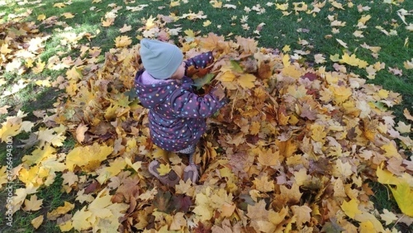 Fototapeta Joyful child playing in a pile of golden autumn leaves