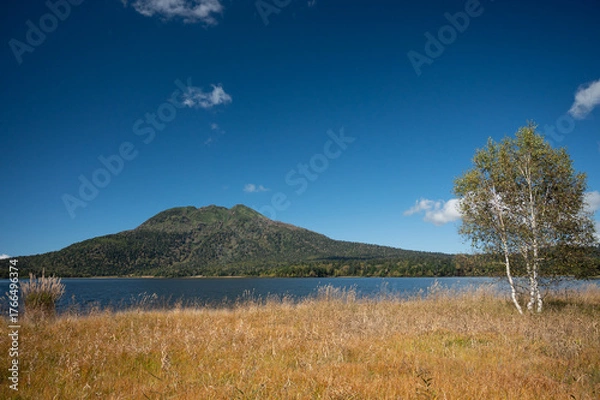 Obraz 草紅葉の尾瀬ヶ原