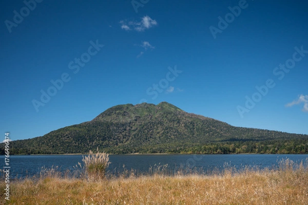 Obraz 草紅葉の尾瀬ヶ原