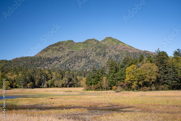 Obraz 草紅葉の尾瀬ヶ原