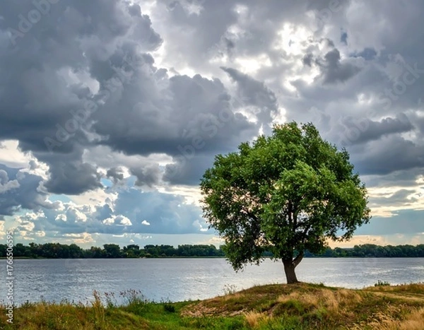 Fototapeta Lone tree on a grassy knoll by a body of water under a dramatic sky