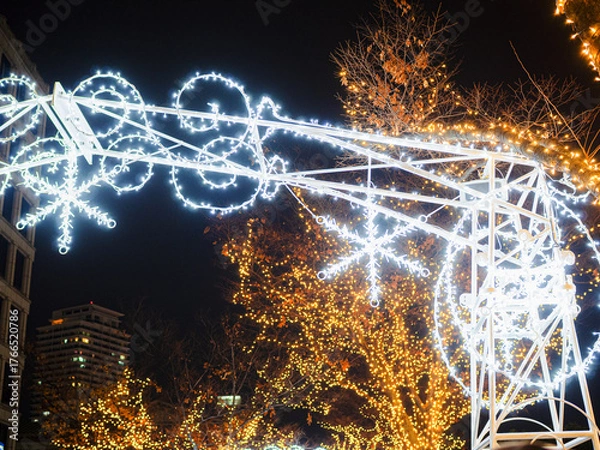 Obraz 中之島・イルミネーション